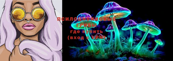 бошки Майский