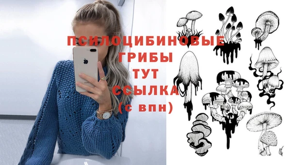 гашик Медвежьегорск