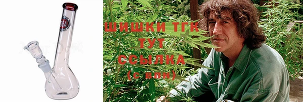 ешки Мегион
