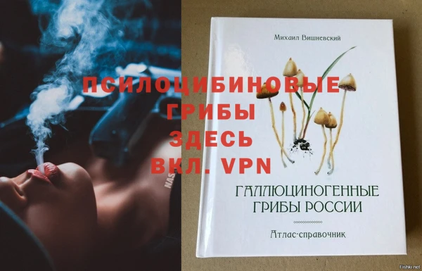ешки Мегион