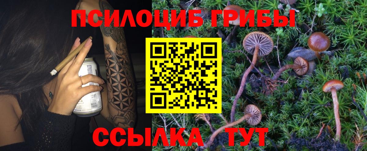 Псилоцибиновые грибы MAGIC MUSHROOMS  Псилоцибиновые грибы мухоморы  Тейково 