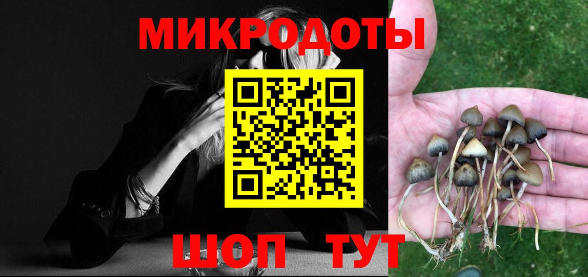 Псилоцибиновые грибы Cubensis  Вход с VPN  Тейково 