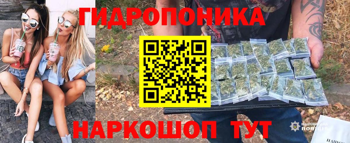 Конопля марихуана Тейково